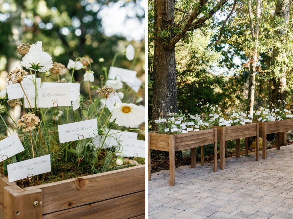 Escort display cards scattered among replanted wildflowers